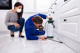 Best Bed Bug Extermination  in Staunton, IL